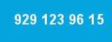 929 123 96 15 929 123 96 15